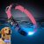 LED AirTag Dog Collar – Brightest Light Up Dog Collars