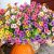 trytuny Artificial Flowers for Outdoor
