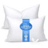zibroges Feather Pillows Queen Size Set of 2