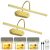 Picture Lights for Wall Battery Operated