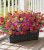 Ivydale Artificial Flowers for Outdoor 24 Bundles Fake Mums with Eucalyptus Leav