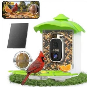Bird Feeder with Camera,AI Identify Birds Species