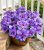 HyeFlora Artificial Hibiscus Flowers for Outdoors Faux Plant Spring Decor