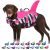 Bess Bridal Dog Life Jacket – Shark Life Vest for Swimming Boating