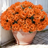 Karlliu Artificial Geranium Flowers for Outdoors: 12 PCS Realistic UV Resistant