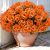 Karlliu Artificial Geranium Flowers for Outdoors: 12 PCS Realistic UV Resistant