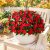 Livole Artificial Impatiens Flowers for Outdoors