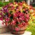 Artificial Flowers for Outdoor, 16 Bundles UV Resistant Fake Silk Flowers Mix Da