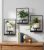 FancyPlus 3 Pack Hanging Planters for Indoor Plants