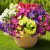 Fanfantoey 16 pcs Artificial Flowers for Outdoors