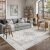 HUGEAR Area Rugs 5×7 Machine Washable Vintage Grey Living Room Bedroom Rug Throw