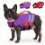 LeLePet Dog Life Jacket, High Flotation Dog Life Vest for Swimming
