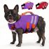 ARING PET Fall Dog Collar with Bow