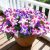 FULLMUSIC Spring Artificial Flowers for Outdoors
