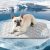 GASUR Cooling Mat for Dogs, Q-Max>0.5 Instant Temp Drop Dog Cooling Mats for Med
