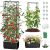 MQJIAZHI Self Watering Tomato Planter with Trellis