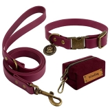 Wisedog Waterproof Dog Collar and Leash Set