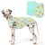 KYEESE 2Pack Sun Protection Dog Cooling Shirt for Medium Dogs, Duck+Blue