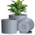 WESTHEY Air Purifiers for Home Larger Room with Washable Filter Auto Mode