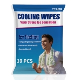 10 Pack Cooling Body Wipes, Alcohol-Free Cooling Towelettes Cooling Towel Altern