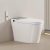 Loniko Electric Smart Toilet with Bidet Built In