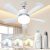 Eonini Socket Fan Light with Remote