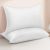 HEYCUZI Queen Size Bed Pillows Set of 2