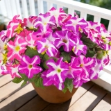 FULLMUSIC Spring Artificial Flowers for Outdoors