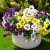 Fanfantoey Artificial Flowers for Outdoors