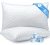 DIORIS Pillows Queen Size Set of 2