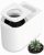 5L Electric Kitchen Composter for Countertop