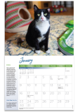 Order Your FREE 2022 ‘Rescued!’ Calendar via Peta.org