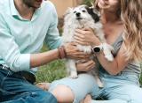 Spoil Your Pet This Summer: Must-Have Essentials for Your Furry Friend!