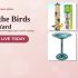 Hanna’s Table Linens Roundup
