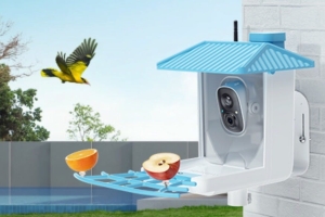 The Best Fix for Backyard Boredom? This Smart Bird Feeder Is 50% Off